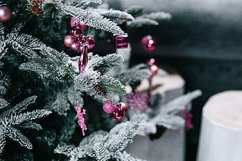 クリスマスツリーの装飾、 クリスマスツリー、 装飾、 ツリー、 クリスマス、 クリスマスボール、 ボール、 冬、 クリスマスの飾り、 クローズアップ、 赤