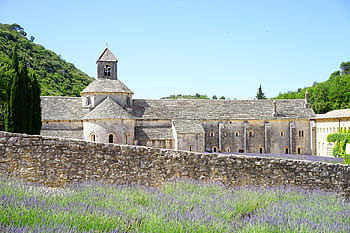 abbaye de sénanque, อาราม, วัด, notre dame de sénanque, คำสั่งของซิสเตอร์เรียน, กอร์เดส, Vaucluse, ฝรั่งเศส, พระสงฆ์ซิสเตอร์เรียน, sénanque abbey, zisterzienser