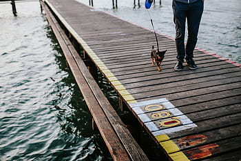 de madera, muelle, lago, muelle de madera, junto al lago, agua, bote, caminar, canoa, kayak, personas