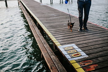 agua, lago, muelle, barco, caminar, canoa, kayak, de madera
