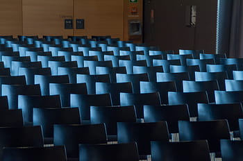 Audience, Chairs, Show, Hall, Auditorium, hall, auditorium, presentation, conference, empty, in a row, chair