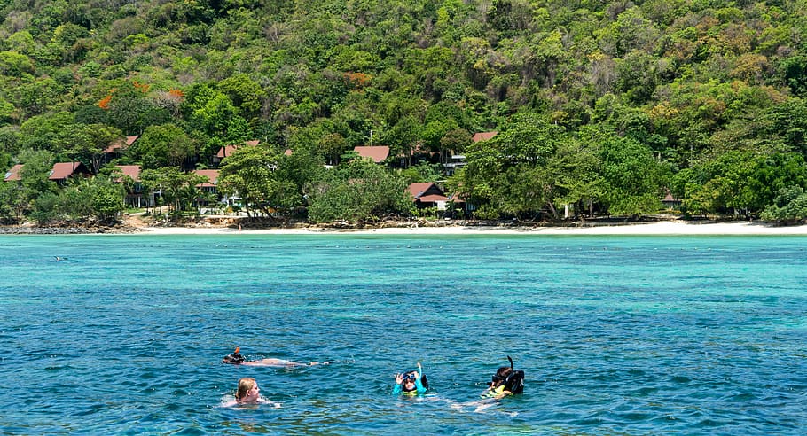 phi phi island tour, phuket, thailand, beach, people, person, snorkeling, leisure, sea, water, tourism