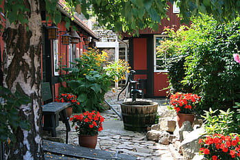 bornholm, Δανία, πισω αυλη, κήπος, κρήνη