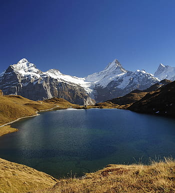 mountain alps, water, lauteraarhorn, bachalpsee, wetterhorn, schreckhorn, finsteraarhorn, bernese horns, autumn, postkartenmotiv, alpine