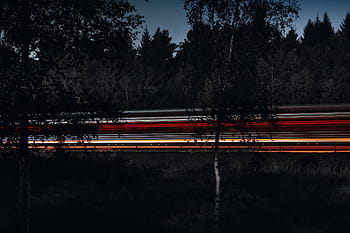 časosběrné fotografování, stromy, silnice, světla, temný, nebe, způsob, Příroda, kufr, rostlin, Rychlost