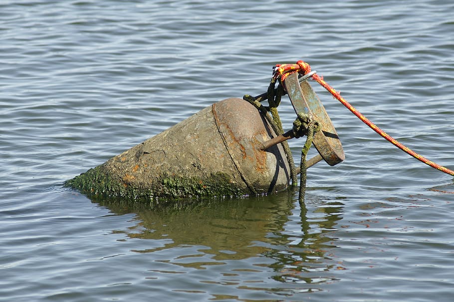 jezero, bóje, voda, loď, vlna, bezpečnost, pobřeží, moře, zachránce života