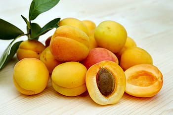 round, yellow, red, fruits, apricots, sugar apricots, fruit, sweet, frisch, delicious, orange