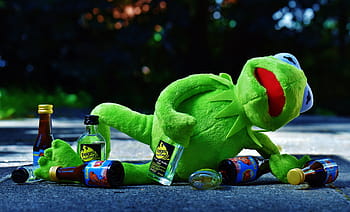 kermit, frog, drink, alcohol, drunk, rest, sit, figure, funny, frogs, animal