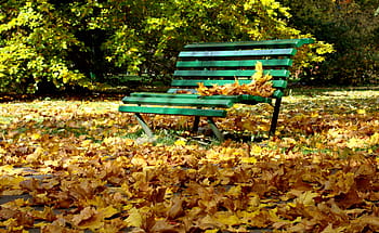 Herbst, Bank, Laub, Natur, Park, Abstandshalter, Oktober, Gelb, gelbe Blätter, sich ausruhen, Herbst Gold