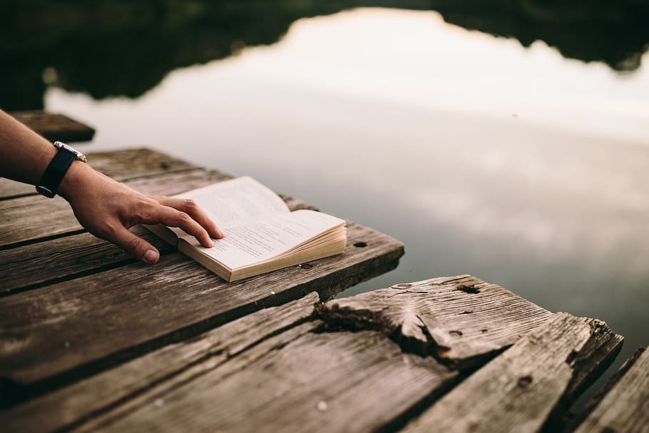 estate, riposo, libro, rilassante, tempo, libro da leggere, sera, ora magica, ragazza che legge il libro, ragazzo che legge il libro, uomo con libro