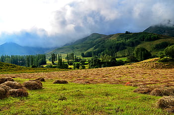 krocan, Příroda, krajina, kaçkars, přírodní krůta, příroda krajiny, nebe, tráva, hora, zelená, ispir