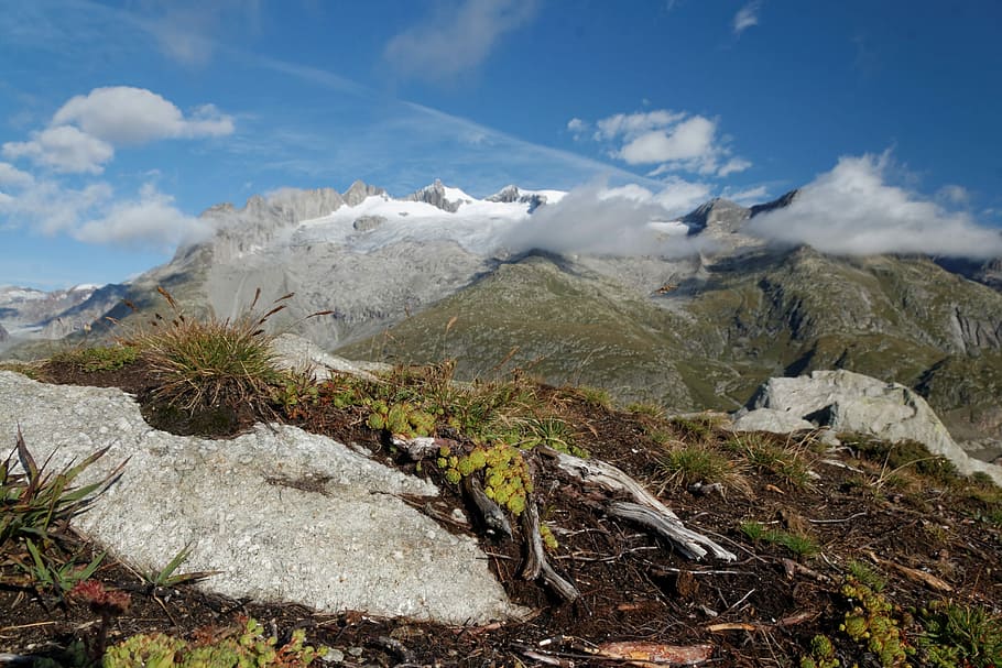 ledovec aletsch, švýcarsko, valais, ledovec, jungfrau region, hora, mrak - nebe, Příroda, krajina, den, scén