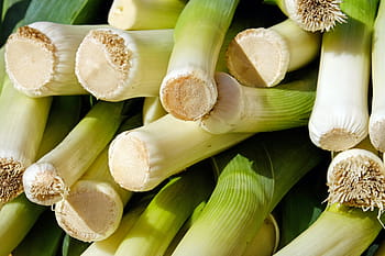 stoh celeru, pórek, zelenina, stonek, širokopásmový pór, zimní pórek, welsch cibule, zlý pór, španělská cibule, pole česnek, pór skleník
