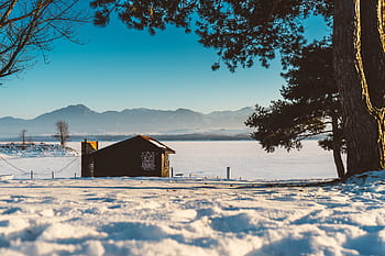 la neve, inverno, bianca, freddo, tempo metereologico, ghiaccio, alberi, piante, natura, Casa, viaggio