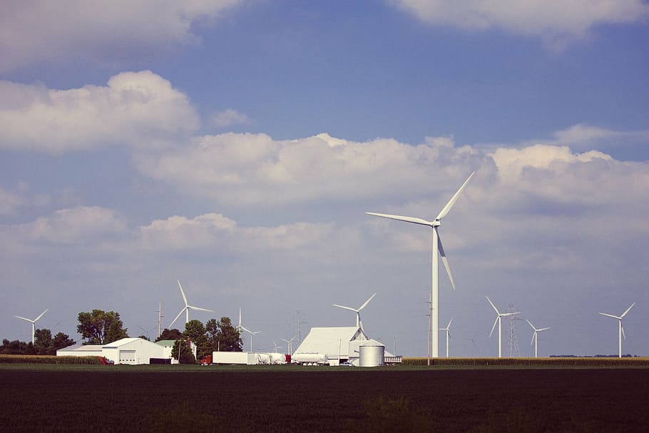 energia eolica, turbine eoliche, ecologico, elettricità, ambientale, vento, turbine, i campi