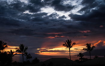 dark, sunset, clouds, sky, trees, nature, silhouette, light, sea, water