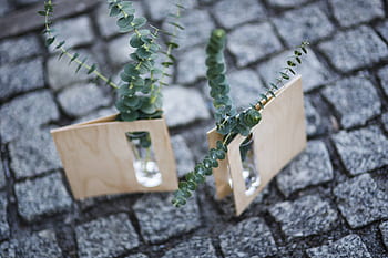 ladrillos, pequeño, planta, adoquines, decoración, poco, ornamento, pavimento, mini, miniatura, verde