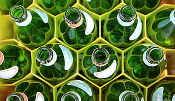 top-view photography, green, glass bottles, glass, bottles, honeycomb, tray, beverage, empty, bottle, hole