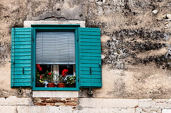 blue, wooden, window, red, flowers, travel, cruise, vacation, croatia, split, windows