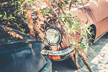 tua, timer mobil, Ditinggalkan, Berkarat, Timer Lama, Mobil, buruk, lampu, oldtimer, transportasi, di luar ruangan
