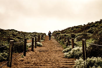 person, walking, stairs, outdoors, man, black, shirt, pathway, surround, plants, white