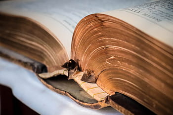 bible, family bible, christian, holy, book, ancient text, old bible, sacred, testament, christianity