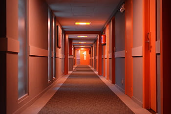 lighted hallway, hotel, gang, perspective, floor, doors, indoors, corridor