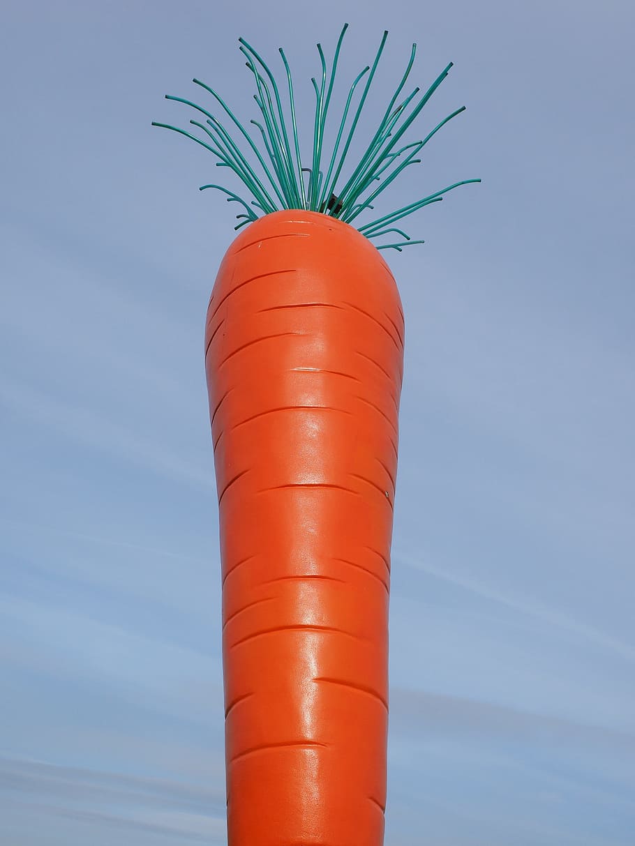 carota, le roi carotte, Rosalie, rosso, madaris, Ostfildern, Esslingen, parco Scharnhauser, colorato, opera d'arte, arte