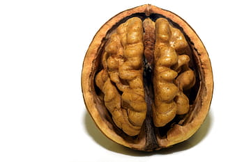 close-up photography, walnut, nut, shell, nutshell, open, brain, head, coils, curves, delicious