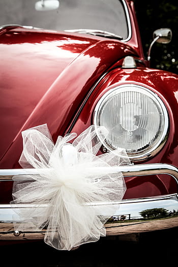 avvicinamento, foto, bianca, arco, rosso, faro volkswagen beetle, vw beetle, scarafaggio, auto, cerimonia, nozze