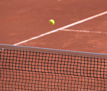 tennis, tennis court, clay court, web, ball, tennis ball