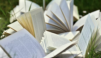 otevřeno, knih, tráva, stránky knihy, posazený, číst, literatura, stránek, papír, otevřené knihy, Učit se