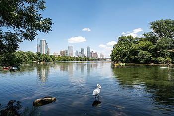 landscape, austin skyline, Lake, Austin, Skyline, Texas, photos, public domain, United States, water, skyscraper