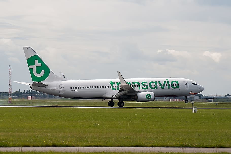 letadlo, přistávací dráha, letecká linka, transavia, zemí, letiště, cestovat, létat, schiphol