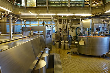 továrna na sýry, výroba sýrů, mlékárna na výrobu sýrů, spřízněnou, Ementál, švýcarsko, produkce sýrů