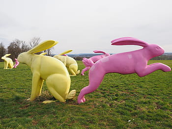 coniglio, opera d'arte, giallo, coppia di coniglietti, rosa, sedili e conigli flitz, Rosalie, madaris, Ostfildern, Esslingen, parco Scharnhauser