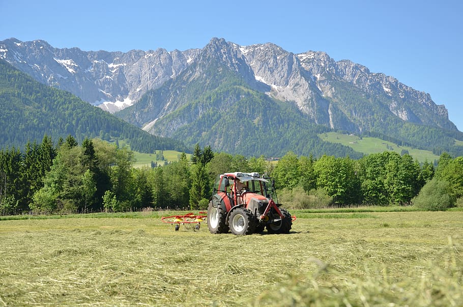kopců, seno, traktor, léto v kopcích, heuwenden, krmiva pro dobytek, chov sena, bauer, práce v terénu, Tyrolsko, hora