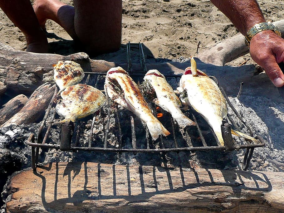 person grilling fish, Grill, Fish, Fishing, food, barbecue Grill, barbecue, cooking, grilled, meat, outdoors