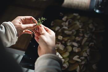 utilisant du romarin, Romarin, cuisine, mains, processus, main humaine, personnes, femmes, une personne, fermer, travail