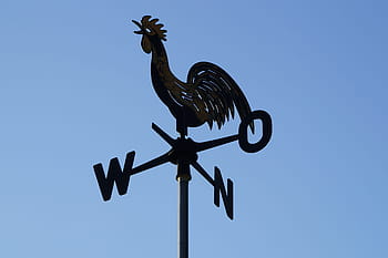 Weather Vane, Blue Sky, West, East, north, south, direction, guidance, silhouette, clear sky, rooster