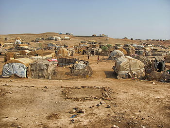 hvid, Brun, tiere, Eritrea, landskab, telte, hytter, flygtningelejr, somaliere, mennesker, familier