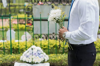 man, holding, white, flowers, Funeral, Adios, Bye, Memory, Death, peace, cemetery