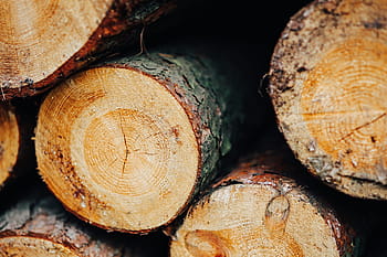kayu batang dinding, Kayu, batang, Dinding, musim gugur, kayu - Bahan, pohon, Industri kayu, kayu bakar, log, tumpukan