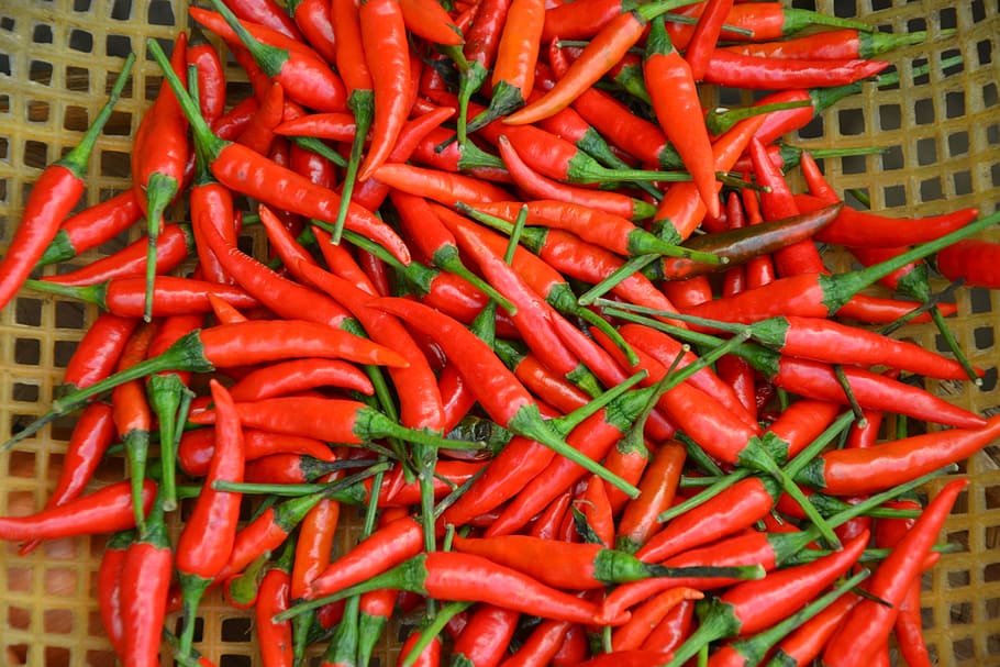 červené jalapenos, chilli, pepř, ostrý, pikantní, pod, trh, košík, jídlo, Červené, koření