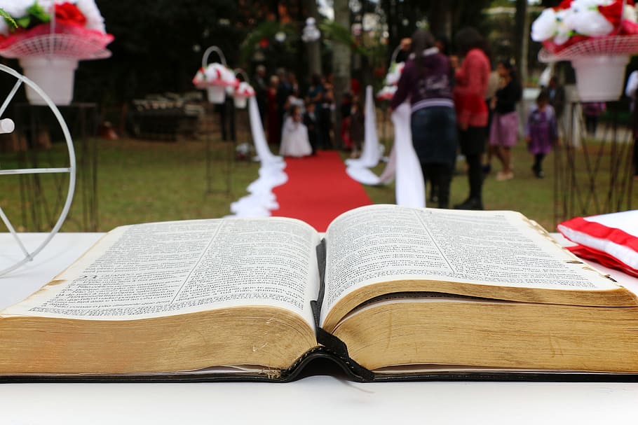 bible, náboženství, evangelium, křesťanství, víra, rezervovat, evangelický, Bůh, Ježíš, křesťan, venku
