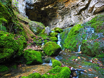 elsach, ποτάμι, σπήλαιο, falkensteiner σπηλιά, baden württemberg, σλαβικό λευκό, σοβαρό τραπέζι, κακό urach, σπηλιά νερού, καρστ, ενεργό σπήλαιο νερού