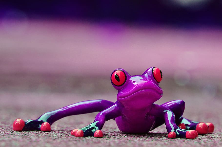 rana, gracioso, figura, lindo, animal, diversión, púrpura, dulce, ojos de rana, al acecho