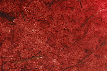 červené listy stromů, papír, Pozadí, banán, kůra, teplý, burgundské, Červené, vinobraní, ekologie