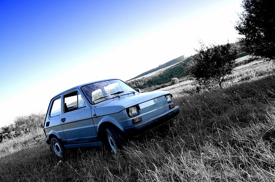 polski fiat, fso, pole, malý, auto, veterán