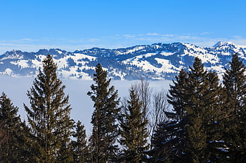 Switzerland, Alps, Swiss Alps, nature, landscape, winter, wintertime, view, Stoos, Schwyz, spruce